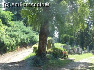 [P16] Sighișoara - În Cimitirul Evanghelic. » foto by iulianic
 - 
<span class="allrVoted glyphicon glyphicon-heart hidden" id="av1319992"></span>
<a class="m-l-10 hidden" id="sv1319992" onclick="voting_Foto_DelVot(,1319992,4175)" role="button">șterge vot <span class="glyphicon glyphicon-remove"></span></a>
<a id="v91319992" class=" c-red"  onclick="voting_Foto_SetVot(1319992)" role="button"><span class="glyphicon glyphicon-heart-empty"></span> <b>LIKE</b> = Votează poza</a> <img class="hidden"  id="f1319992W9" src="/imagini/loader.gif" border="0" /><span class="AjErrMes hidden" id="e1319992ErM"></span>