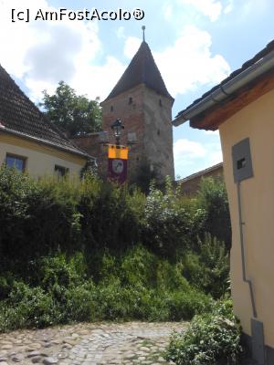 [P44]  -- <small>// FĂRĂ DESCRIERE</small> » foto by iulianic
 - 
<span class="allrVoted glyphicon glyphicon-heart hidden" id="av1320020"></span>
<a class="m-l-10 hidden" id="sv1320020" onclick="voting_Foto_DelVot(,1320020,4175)" role="button">șterge vot <span class="glyphicon glyphicon-remove"></span></a>
<a id="v91320020" class=" c-red"  onclick="voting_Foto_SetVot(1320020)" role="button"><span class="glyphicon glyphicon-heart-empty"></span> <b>LIKE</b> = Votează poza</a> <img class="hidden"  id="f1320020W9" src="/imagini/loader.gif" border="0" /><span class="AjErrMes hidden" id="e1320020ErM"></span>