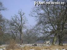 [P04] Rezervatia de stejari multiseculari de la Breite, Sighisoara - vedere de pe platoul Breite » foto by biancuta
 - 
<span class="allrVoted glyphicon glyphicon-heart hidden" id="av187967"></span>
<a class="m-l-10 hidden" id="sv187967" onclick="voting_Foto_DelVot(,187967,4175)" role="button">șterge vot <span class="glyphicon glyphicon-remove"></span></a>
<a id="v9187967" class=" c-red"  onclick="voting_Foto_SetVot(187967)" role="button"><span class="glyphicon glyphicon-heart-empty"></span> <b>LIKE</b> = Votează poza</a> <img class="hidden"  id="f187967W9" src="/imagini/loader.gif" border="0" /><span class="AjErrMes hidden" id="e187967ErM"></span>