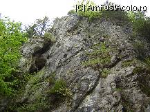 [P5x] Pereti stancosi din Cheile Dambovicioarei » foto by KFZ
 - 
<span class="allrVoted glyphicon glyphicon-heart hidden" id="av37280"></span>
<a class="m-l-10 hidden" id="sv37280" onclick="voting_Foto_DelVot(,37280,4190)" role="button">șterge vot <span class="glyphicon glyphicon-remove"></span></a>
<a id="v937280" class=" c-red"  onclick="voting_Foto_SetVot(37280)" role="button"><span class="glyphicon glyphicon-heart-empty"></span> <b>LIKE</b> = Votează poza</a> <img class="hidden"  id="f37280W9" src="/imagini/loader.gif" border="0" /><span class="AjErrMes hidden" id="e37280ErM"></span>