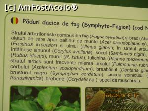 [P24]  -- <small>// FĂRĂ DESCRIERE</small> » foto by elviramvio
 - 
<span class="allrVoted glyphicon glyphicon-heart hidden" id="av763605"></span>
<a class="m-l-10 hidden" id="sv763605" onclick="voting_Foto_DelVot(,763605,4190)" role="button">șterge vot <span class="glyphicon glyphicon-remove"></span></a>
<a id="v9763605" class=" c-red"  onclick="voting_Foto_SetVot(763605)" role="button"><span class="glyphicon glyphicon-heart-empty"></span> <b>LIKE</b> = Votează poza</a> <img class="hidden"  id="f763605W9" src="/imagini/loader.gif" border="0" /><span class="AjErrMes hidden" id="e763605ErM"></span>