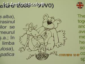 [P28]  -- <small>// FĂRĂ DESCRIERE</small> » foto by elviramvio
 - 
<span class="allrVoted glyphicon glyphicon-heart hidden" id="av763617"></span>
<a class="m-l-10 hidden" id="sv763617" onclick="voting_Foto_DelVot(,763617,4190)" role="button">șterge vot <span class="glyphicon glyphicon-remove"></span></a>
<a id="v9763617" class=" c-red"  onclick="voting_Foto_SetVot(763617)" role="button"><span class="glyphicon glyphicon-heart-empty"></span> <b>LIKE</b> = Votează poza</a> <img class="hidden"  id="f763617W9" src="/imagini/loader.gif" border="0" /><span class="AjErrMes hidden" id="e763617ErM"></span>