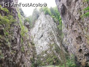 [P05] <strong>Descoperă zona Dâmbovicioara</strong> » foto by ⭐ValentinB_88⭐
 - 
<span class="allrVoted glyphicon glyphicon-heart hidden" id="av1321162"></span>
<a class="m-l-10 hidden" id="sv1321162" onclick="voting_Foto_DelVot(,1321162,4190)" role="button">șterge vot <span class="glyphicon glyphicon-remove"></span></a>
<a id="v91321162" class=" c-red"  onclick="voting_Foto_SetVot(1321162)" role="button"><span class="glyphicon glyphicon-heart-empty"></span> <b>LIKE</b> = Votează poza</a> <img class="hidden"  id="f1321162W9" src="/imagini/loader.gif" border="0" /><span class="AjErrMes hidden" id="e1321162ErM"></span>