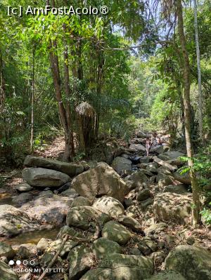 [P11] În drum spre cascada Bang Pae - Phuket » foto by Pușcașu Marin
 - 
<span class="allrVoted glyphicon glyphicon-heart hidden" id="av1390681"></span>
<a class="m-l-10 hidden" id="sv1390681" onclick="voting_Foto_DelVot(,1390681,4203)" role="button">șterge vot <span class="glyphicon glyphicon-remove"></span></a>
<a id="v91390681" class=" c-red"  onclick="voting_Foto_SetVot(1390681)" role="button"><span class="glyphicon glyphicon-heart-empty"></span> <b>LIKE</b> = Votează poza</a> <img class="hidden"  id="f1390681W9" src="/imagini/loader.gif" border="0" /><span class="AjErrMes hidden" id="e1390681ErM"></span>