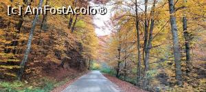 [P07] Pe Cheile Vâlsanului. » foto by tata123 🔱
 - 
<span class="allrVoted glyphicon glyphicon-heart hidden" id="av1504332"></span>
<a class="m-l-10 hidden" id="sv1504332" onclick="voting_Foto_DelVot(,1504332,4208)" role="button">șterge vot <span class="glyphicon glyphicon-remove"></span></a>
<a id="v91504332" class=" c-red"  onclick="voting_Foto_SetVot(1504332)" role="button"><span class="glyphicon glyphicon-heart-empty"></span> <b>LIKE</b> = Votează poza</a> <img class="hidden"  id="f1504332W9" src="/imagini/loader.gif" border="0" /><span class="AjErrMes hidden" id="e1504332ErM"></span>