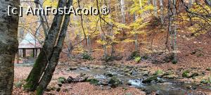 [P09] Izvor sulfuros pe Cheile Vâlsanului. » foto by tata123 🔱
 - 
<span class="allrVoted glyphicon glyphicon-heart hidden" id="av1504334"></span>
<a class="m-l-10 hidden" id="sv1504334" onclick="voting_Foto_DelVot(,1504334,4208)" role="button">șterge vot <span class="glyphicon glyphicon-remove"></span></a>
<a id="v91504334" class=" c-red"  onclick="voting_Foto_SetVot(1504334)" role="button"><span class="glyphicon glyphicon-heart-empty"></span> <b>LIKE</b> = Votează poza</a> <img class="hidden"  id="f1504334W9" src="/imagini/loader.gif" border="0" /><span class="AjErrMes hidden" id="e1504334ErM"></span>