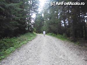 [P03] drumul prin padure spre schit » foto by diana-camelia*
 - 
<span class="allrVoted glyphicon glyphicon-heart hidden" id="av453623"></span>
<a class="m-l-10 hidden" id="sv453623" onclick="voting_Foto_DelVot(,453623,4213)" role="button">șterge vot <span class="glyphicon glyphicon-remove"></span></a>
<a id="v9453623" class=" c-red"  onclick="voting_Foto_SetVot(453623)" role="button"><span class="glyphicon glyphicon-heart-empty"></span> <b>LIKE</b> = Votează poza</a> <img class="hidden"  id="f453623W9" src="/imagini/loader.gif" border="0" /><span class="AjErrMes hidden" id="e453623ErM"></span>
