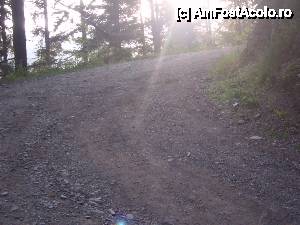 [P05]  -- <small>// FĂRĂ DESCRIERE</small> » foto by diana-camelia*
 - 
<span class="allrVoted glyphicon glyphicon-heart hidden" id="av453625"></span>
<a class="m-l-10 hidden" id="sv453625" onclick="voting_Foto_DelVot(,453625,4213)" role="button">șterge vot <span class="glyphicon glyphicon-remove"></span></a>
<a id="v9453625" class=" c-red"  onclick="voting_Foto_SetVot(453625)" role="button"><span class="glyphicon glyphicon-heart-empty"></span> <b>LIKE</b> = Votează poza</a> <img class="hidden"  id="f453625W9" src="/imagini/loader.gif" border="0" /><span class="AjErrMes hidden" id="e453625ErM"></span>