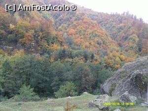 [P28] 28. Pădurea are niște culori splendide. » foto by msnd
 - 
<span class="allrVoted glyphicon glyphicon-heart hidden" id="av1504626"></span>
<a class="m-l-10 hidden" id="sv1504626" onclick="voting_Foto_DelVot(,1504626,4219)" role="button">șterge vot <span class="glyphicon glyphicon-remove"></span></a>
<a id="v91504626" class=" c-red"  onclick="voting_Foto_SetVot(1504626)" role="button"><span class="glyphicon glyphicon-heart-empty"></span> <b>LIKE</b> = Votează poza</a> <img class="hidden"  id="f1504626W9" src="/imagini/loader.gif" border="0" /><span class="AjErrMes hidden" id="e1504626ErM"></span>
