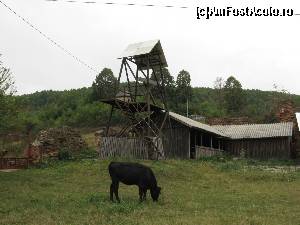[P07] Taurina buclucașă și turnul clopotniță. Se observă fragmente din vechiul zid.  » foto by tata123 🔱
 - 
<span class="allrVoted glyphicon glyphicon-heart hidden" id="av591279"></span>
<a class="m-l-10 hidden" id="sv591279" onclick="voting_Foto_DelVot(,591279,4219)" role="button">șterge vot <span class="glyphicon glyphicon-remove"></span></a>
<a id="v9591279" class=" c-red"  onclick="voting_Foto_SetVot(591279)" role="button"><span class="glyphicon glyphicon-heart-empty"></span> <b>LIKE</b> = Votează poza</a> <img class="hidden"  id="f591279W9" src="/imagini/loader.gif" border="0" /><span class="AjErrMes hidden" id="e591279ErM"></span>
