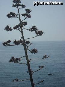 [P48] Via Dell'Amore-Cinque Terre » foto by georgiana
 - 
<span class="allrVoted glyphicon glyphicon-heart hidden" id="av246164"></span>
<a class="m-l-10 hidden" id="sv246164" onclick="voting_Foto_DelVot(,246164,4285)" role="button">șterge vot <span class="glyphicon glyphicon-remove"></span></a>
<a id="v9246164" class=" c-red"  onclick="voting_Foto_SetVot(246164)" role="button"><span class="glyphicon glyphicon-heart-empty"></span> <b>LIKE</b> = Votează poza</a> <img class="hidden"  id="f246164W9" src="/imagini/loader.gif" border="0" /><span class="AjErrMes hidden" id="e246164ErM"></span>
