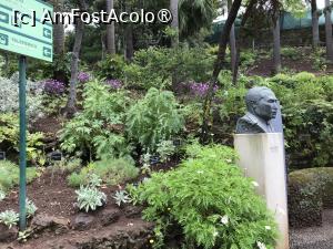 [P01] Grădina botanică din Funchal - bustul ing. Rui Vieira, fondatorul şi primul director al grădinii » foto by nicole33
 - 
<span class="allrVoted glyphicon glyphicon-heart hidden" id="av1497714"></span>
<a class="m-l-10 hidden" id="sv1497714" onclick="voting_Foto_DelVot(,1497714,4289)" role="button">șterge vot <span class="glyphicon glyphicon-remove"></span></a>
<a id="v91497714" class=" c-red"  onclick="voting_Foto_SetVot(1497714)" role="button"><span class="glyphicon glyphicon-heart-empty"></span> <b>LIKE</b> = Votează poza</a> <img class="hidden"  id="f1497714W9" src="/imagini/loader.gif" border="0" /><span class="AjErrMes hidden" id="e1497714ErM"></span>