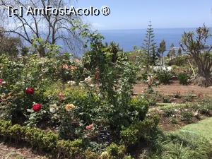 [P10] Grădina botanică din Funchal » foto by nicole33
 - 
<span class="allrVoted glyphicon glyphicon-heart hidden" id="av1497723"></span>
<a class="m-l-10 hidden" id="sv1497723" onclick="voting_Foto_DelVot(,1497723,4289)" role="button">șterge vot <span class="glyphicon glyphicon-remove"></span></a>
<a id="v91497723" class=" c-red"  onclick="voting_Foto_SetVot(1497723)" role="button"><span class="glyphicon glyphicon-heart-empty"></span> <b>LIKE</b> = Votează poza</a> <img class="hidden"  id="f1497723W9" src="/imagini/loader.gif" border="0" /><span class="AjErrMes hidden" id="e1497723ErM"></span>