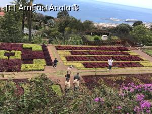 [P02] Grădina botanică din Funchal - covoare de plante » foto by nicole33
 - 
<span class="allrVoted glyphicon glyphicon-heart hidden" id="av1497715"></span>
<a class="m-l-10 hidden" id="sv1497715" onclick="voting_Foto_DelVot(,1497715,4289)" role="button">șterge vot <span class="glyphicon glyphicon-remove"></span></a>
<a id="v91497715" class=" c-red"  onclick="voting_Foto_SetVot(1497715)" role="button"><span class="glyphicon glyphicon-heart-empty"></span> <b>LIKE</b> = Votează poza</a> <img class="hidden"  id="f1497715W9" src="/imagini/loader.gif" border="0" /><span class="AjErrMes hidden" id="e1497715ErM"></span>