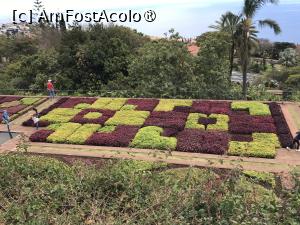 [P03] Grădina botanică din Funchal - covoare de plante » foto by nicole33
 - 
<span class="allrVoted glyphicon glyphicon-heart hidden" id="av1497716"></span>
<a class="m-l-10 hidden" id="sv1497716" onclick="voting_Foto_DelVot(,1497716,4289)" role="button">șterge vot <span class="glyphicon glyphicon-remove"></span></a>
<a id="v91497716" class=" c-red"  onclick="voting_Foto_SetVot(1497716)" role="button"><span class="glyphicon glyphicon-heart-empty"></span> <b>LIKE</b> = Votează poza</a> <img class="hidden"  id="f1497716W9" src="/imagini/loader.gif" border="0" /><span class="AjErrMes hidden" id="e1497716ErM"></span>
