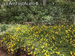 [P38] Grădina botanică din Funchal » foto by nicole33
 - 
<span class="allrVoted glyphicon glyphicon-heart hidden" id="av1497751"></span>
<a class="m-l-10 hidden" id="sv1497751" onclick="voting_Foto_DelVot(,1497751,4289)" role="button">șterge vot <span class="glyphicon glyphicon-remove"></span></a>
<a id="v91497751" class=" c-red"  onclick="voting_Foto_SetVot(1497751)" role="button"><span class="glyphicon glyphicon-heart-empty"></span> <b>LIKE</b> = Votează poza</a> <img class="hidden"  id="f1497751W9" src="/imagini/loader.gif" border="0" /><span class="AjErrMes hidden" id="e1497751ErM"></span>