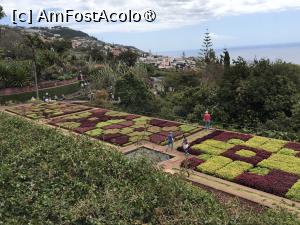[P04] Grădina botanică din Funchal - covoare de plante » foto by nicole33
 - 
<span class="allrVoted glyphicon glyphicon-heart hidden" id="av1497717"></span>
<a class="m-l-10 hidden" id="sv1497717" onclick="voting_Foto_DelVot(,1497717,4289)" role="button">șterge vot <span class="glyphicon glyphicon-remove"></span></a>
<a id="v91497717" class=" c-red"  onclick="voting_Foto_SetVot(1497717)" role="button"><span class="glyphicon glyphicon-heart-empty"></span> <b>LIKE</b> = Votează poza</a> <img class="hidden"  id="f1497717W9" src="/imagini/loader.gif" border="0" /><span class="AjErrMes hidden" id="e1497717ErM"></span>