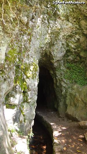 [P10] O sa aveti de mers si prin tuneluri...  » foto by yarine
 - 
<span class="allrVoted glyphicon glyphicon-heart hidden" id="av629962"></span>
<a class="m-l-10 hidden" id="sv629962" onclick="voting_Foto_DelVot(,629962,4289)" role="button">șterge vot <span class="glyphicon glyphicon-remove"></span></a>
<a id="v9629962" class=" c-red"  onclick="voting_Foto_SetVot(629962)" role="button"><span class="glyphicon glyphicon-heart-empty"></span> <b>LIKE</b> = Votează poza</a> <img class="hidden"  id="f629962W9" src="/imagini/loader.gif" border="0" /><span class="AjErrMes hidden" id="e629962ErM"></span>
