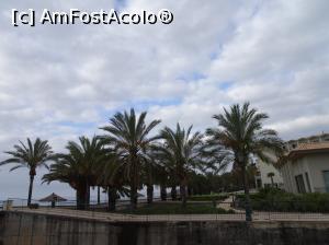 [P11] faleza este foarte îngrijită » foto by robert
 - 
<span class="allrVoted glyphicon glyphicon-heart hidden" id="av985387"></span>
<a class="m-l-10 hidden" id="sv985387" onclick="voting_Foto_DelVot(,985387,4289)" role="button">șterge vot <span class="glyphicon glyphicon-remove"></span></a>
<a id="v9985387" class=" c-red"  onclick="voting_Foto_SetVot(985387)" role="button"><span class="glyphicon glyphicon-heart-empty"></span> <b>LIKE</b> = Votează poza</a> <img class="hidden"  id="f985387W9" src="/imagini/loader.gif" border="0" /><span class="AjErrMes hidden" id="e985387ErM"></span>