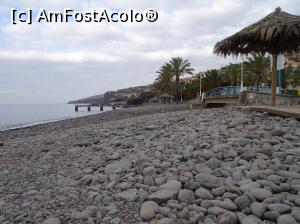 [P13] sincer, nu-i chiar pe gustul meu » foto by robert
 - 
<span class="allrVoted glyphicon glyphicon-heart hidden" id="av985389"></span>
<a class="m-l-10 hidden" id="sv985389" onclick="voting_Foto_DelVot(,985389,4289)" role="button">șterge vot <span class="glyphicon glyphicon-remove"></span></a>
<a id="v9985389" class=" c-red"  onclick="voting_Foto_SetVot(985389)" role="button"><span class="glyphicon glyphicon-heart-empty"></span> <b>LIKE</b> = Votează poza</a> <img class="hidden"  id="f985389W9" src="/imagini/loader.gif" border="0" /><span class="AjErrMes hidden" id="e985389ErM"></span>