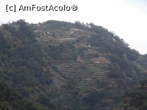 [P04] pe munte se pot observa terasele agricole » foto by robert
 - 
<span class="allrVoted glyphicon glyphicon-heart hidden" id="av985380"></span>
<a class="m-l-10 hidden" id="sv985380" onclick="voting_Foto_DelVot(,985380,4289)" role="button">șterge vot <span class="glyphicon glyphicon-remove"></span></a>
<a id="v9985380" class=" c-red"  onclick="voting_Foto_SetVot(985380)" role="button"><span class="glyphicon glyphicon-heart-empty"></span> <b>LIKE</b> = Votează poza</a> <img class="hidden"  id="f985380W9" src="/imagini/loader.gif" border="0" /><span class="AjErrMes hidden" id="e985380ErM"></span>