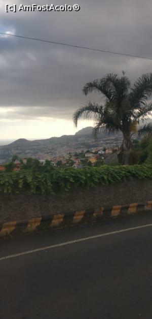 [P06] Un view al orasului Funchal » foto by Clementina
 - 
<span class="allrVoted glyphicon glyphicon-heart hidden" id="av1388366"></span>
<a class="m-l-10 hidden" id="sv1388366" onclick="voting_Foto_DelVot(,1388366,4289)" role="button">șterge vot <span class="glyphicon glyphicon-remove"></span></a>
<a id="v91388366" class=" c-red"  onclick="voting_Foto_SetVot(1388366)" role="button"><span class="glyphicon glyphicon-heart-empty"></span> <b>LIKE</b> = Votează poza</a> <img class="hidden"  id="f1388366W9" src="/imagini/loader.gif" border="0" /><span class="AjErrMes hidden" id="e1388366ErM"></span>