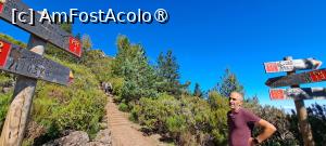 [P30] Domnul pare încurcat între atâtea indicatoare... » foto by irinad
 - 
<span class="allrVoted glyphicon glyphicon-heart hidden" id="av1506928"></span>
<a class="m-l-10 hidden" id="sv1506928" onclick="voting_Foto_DelVot(,1506928,4289)" role="button">șterge vot <span class="glyphicon glyphicon-remove"></span></a>
<a id="v91506928" class=" c-red"  onclick="voting_Foto_SetVot(1506928)" role="button"><span class="glyphicon glyphicon-heart-empty"></span> <b>LIKE</b> = Votează poza</a> <img class="hidden"  id="f1506928W9" src="/imagini/loader.gif" border="0" /><span class="AjErrMes hidden" id="e1506928ErM"></span>