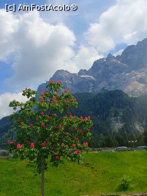 [P34] Zugspitze » foto by Opelantara
 - 
<span class="allrVoted glyphicon glyphicon-heart hidden" id="av1368496"></span>
<a class="m-l-10 hidden" id="sv1368496" onclick="voting_Foto_DelVot(,1368496,4310)" role="button">șterge vot <span class="glyphicon glyphicon-remove"></span></a>
<a id="v91368496" class=" c-red"  onclick="voting_Foto_SetVot(1368496)" role="button"><span class="glyphicon glyphicon-heart-empty"></span> <b>LIKE</b> = Votează poza</a> <img class="hidden"  id="f1368496W9" src="/imagini/loader.gif" border="0" /><span class="AjErrMes hidden" id="e1368496ErM"></span>