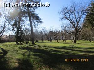 [P06] Parcul casei muzeu.  » foto by elviramvio
 - 
<span class="allrVoted glyphicon glyphicon-heart hidden" id="av817597"></span>
<a class="m-l-10 hidden" id="sv817597" onclick="voting_Foto_DelVot(,817597,4329)" role="button">șterge vot <span class="glyphicon glyphicon-remove"></span></a>
<a id="v9817597" class=" c-red"  onclick="voting_Foto_SetVot(817597)" role="button"><span class="glyphicon glyphicon-heart-empty"></span> <b>LIKE</b> = Votează poza</a> <img class="hidden"  id="f817597W9" src="/imagini/loader.gif" border="0" /><span class="AjErrMes hidden" id="e817597ErM"></span>