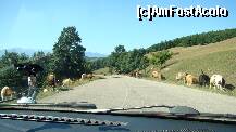 [P01] Pe drum , intre Hunedoara si Silvasul de Jos - apoi cel de sus » foto by kelyboy
 - 
<span class="allrVoted glyphicon glyphicon-heart hidden" id="av289098"></span>
<a class="m-l-10 hidden" id="sv289098" onclick="voting_Foto_DelVot(,289098,4346)" role="button">șterge vot <span class="glyphicon glyphicon-remove"></span></a>
<a id="v9289098" class=" c-red"  onclick="voting_Foto_SetVot(289098)" role="button"><span class="glyphicon glyphicon-heart-empty"></span> <b>LIKE</b> = Votează poza</a> <img class="hidden"  id="f289098W9" src="/imagini/loader.gif" border="0" /><span class="AjErrMes hidden" id="e289098ErM"></span>