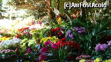 [P14] Lumina si culori, liniste si parfum » foto by kelyboy
 - 
<span class="allrVoted glyphicon glyphicon-heart hidden" id="av289116"></span>
<a class="m-l-10 hidden" id="sv289116" onclick="voting_Foto_DelVot(,289116,4346)" role="button">șterge vot <span class="glyphicon glyphicon-remove"></span></a>
<a id="v9289116" class=" c-red"  onclick="voting_Foto_SetVot(289116)" role="button"><span class="glyphicon glyphicon-heart-empty"></span> <b>LIKE</b> = Votează poza</a> <img class="hidden"  id="f289116W9" src="/imagini/loader.gif" border="0" /><span class="AjErrMes hidden" id="e289116ErM"></span>