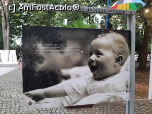 [P26] Expoziția <i>Copilăria Regelui</i> » foto by adso
 - 
<span class="allrVoted glyphicon glyphicon-heart hidden" id="av1249763"></span>
<a class="m-l-10 hidden" id="sv1249763" onclick="voting_Foto_DelVot(,1249763,4370)" role="button">șterge vot <span class="glyphicon glyphicon-remove"></span></a>
<a id="v91249763" class=" c-red"  onclick="voting_Foto_SetVot(1249763)" role="button"><span class="glyphicon glyphicon-heart-empty"></span> <b>LIKE</b> = Votează poza</a> <img class="hidden"  id="f1249763W9" src="/imagini/loader.gif" border="0" /><span class="AjErrMes hidden" id="e1249763ErM"></span>