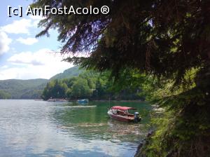 [P39] Lacul Vidraru » foto by Mioritik
 - 
<span class="allrVoted glyphicon glyphicon-heart hidden" id="av1233512"></span>
<a class="m-l-10 hidden" id="sv1233512" onclick="voting_Foto_DelVot(,1233512,4399)" role="button">șterge vot <span class="glyphicon glyphicon-remove"></span></a>
<a id="v91233512" class=" c-red"  onclick="voting_Foto_SetVot(1233512)" role="button"><span class="glyphicon glyphicon-heart-empty"></span> <b>LIKE</b> = Votează poza</a> <img class="hidden"  id="f1233512W9" src="/imagini/loader.gif" border="0" /><span class="AjErrMes hidden" id="e1233512ErM"></span>