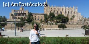 [P16] Palma » foto by andreea2995
 - 
<span class="allrVoted glyphicon glyphicon-heart hidden" id="av769066"></span>
<a class="m-l-10 hidden" id="sv769066" onclick="voting_Foto_DelVot(,769066,4407)" role="button">șterge vot <span class="glyphicon glyphicon-remove"></span></a>
<a id="v9769066" class=" c-red"  onclick="voting_Foto_SetVot(769066)" role="button"><span class="glyphicon glyphicon-heart-empty"></span> <b>LIKE</b> = Votează poza</a> <img class="hidden"  id="f769066W9" src="/imagini/loader.gif" border="0" /><span class="AjErrMes hidden" id="e769066ErM"></span>