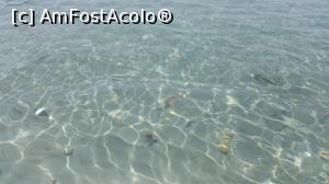 [P20] Formentor » foto by andreea2995
 - 
<span class="allrVoted glyphicon glyphicon-heart hidden" id="av769070"></span>
<a class="m-l-10 hidden" id="sv769070" onclick="voting_Foto_DelVot(,769070,4407)" role="button">șterge vot <span class="glyphicon glyphicon-remove"></span></a>
<a id="v9769070" class=" c-red"  onclick="voting_Foto_SetVot(769070)" role="button"><span class="glyphicon glyphicon-heart-empty"></span> <b>LIKE</b> = Votează poza</a> <img class="hidden"  id="f769070W9" src="/imagini/loader.gif" border="0" /><span class="AjErrMes hidden" id="e769070ErM"></span>