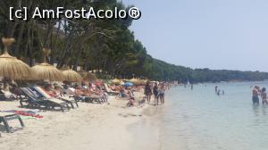 [P25] Formentor » foto by andreea2995
 - 
<span class="allrVoted glyphicon glyphicon-heart hidden" id="av769077"></span>
<a class="m-l-10 hidden" id="sv769077" onclick="voting_Foto_DelVot(,769077,4407)" role="button">șterge vot <span class="glyphicon glyphicon-remove"></span></a>
<a id="v9769077" class=" c-red"  onclick="voting_Foto_SetVot(769077)" role="button"><span class="glyphicon glyphicon-heart-empty"></span> <b>LIKE</b> = Votează poza</a> <img class="hidden"  id="f769077W9" src="/imagini/loader.gif" border="0" /><span class="AjErrMes hidden" id="e769077ErM"></span>