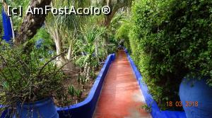 [P11] Alta alee, aceeasi Gradina Majorelle » foto by mecut
 - 
<span class="allrVoted glyphicon glyphicon-heart hidden" id="av1014831"></span>
<a class="m-l-10 hidden" id="sv1014831" onclick="voting_Foto_DelVot(,1014831,4416)" role="button">șterge vot <span class="glyphicon glyphicon-remove"></span></a>
<a id="v91014831" class=" c-red"  onclick="voting_Foto_SetVot(1014831)" role="button"><span class="glyphicon glyphicon-heart-empty"></span> <b>LIKE</b> = Votează poza</a> <img class="hidden"  id="f1014831W9" src="/imagini/loader.gif" border="0" /><span class="AjErrMes hidden" id="e1014831ErM"></span>