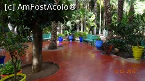 [P12] Loc de relexare, Gradina Majorelle » foto by mecut
 - 
<span class="allrVoted glyphicon glyphicon-heart hidden" id="av1014832"></span>
<a class="m-l-10 hidden" id="sv1014832" onclick="voting_Foto_DelVot(,1014832,4416)" role="button">șterge vot <span class="glyphicon glyphicon-remove"></span></a>
<a id="v91014832" class=" c-red"  onclick="voting_Foto_SetVot(1014832)" role="button"><span class="glyphicon glyphicon-heart-empty"></span> <b>LIKE</b> = Votează poza</a> <img class="hidden"  id="f1014832W9" src="/imagini/loader.gif" border="0" /><span class="AjErrMes hidden" id="e1014832ErM"></span>