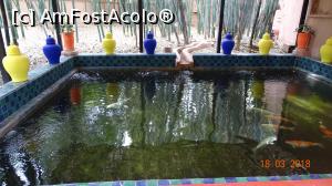 [P02] Bazinul cu pesti- Gradina Majorelle » foto by mecut
 - 
<span class="allrVoted glyphicon glyphicon-heart hidden" id="av1014822"></span>
<a class="m-l-10 hidden" id="sv1014822" onclick="voting_Foto_DelVot(,1014822,4416)" role="button">șterge vot <span class="glyphicon glyphicon-remove"></span></a>
<a id="v91014822" class=" c-red"  onclick="voting_Foto_SetVot(1014822)" role="button"><span class="glyphicon glyphicon-heart-empty"></span> <b>LIKE</b> = Votează poza</a> <img class="hidden"  id="f1014822W9" src="/imagini/loader.gif" border="0" /><span class="AjErrMes hidden" id="e1014822ErM"></span>