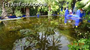 [P04] Bazinul cu nuferi, alta perspectiva, Gradina Majorelle » foto by mecut
 - 
<span class="allrVoted glyphicon glyphicon-heart hidden" id="av1014824"></span>
<a class="m-l-10 hidden" id="sv1014824" onclick="voting_Foto_DelVot(,1014824,4416)" role="button">șterge vot <span class="glyphicon glyphicon-remove"></span></a>
<a id="v91014824" class=" c-red"  onclick="voting_Foto_SetVot(1014824)" role="button"><span class="glyphicon glyphicon-heart-empty"></span> <b>LIKE</b> = Votează poza</a> <img class="hidden"  id="f1014824W9" src="/imagini/loader.gif" border="0" /><span class="AjErrMes hidden" id="e1014824ErM"></span>