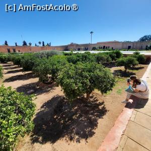 [P33] Marrakech, Palatul Badii, Livada de portocali sub nivelul solului » foto by mprofeanu
 - 
<span class="allrVoted glyphicon glyphicon-heart hidden" id="av1474817"></span>
<a class="m-l-10 hidden" id="sv1474817" onclick="voting_Foto_DelVot(,1474817,4416)" role="button">șterge vot <span class="glyphicon glyphicon-remove"></span></a>
<a id="v91474817" class=" c-red"  onclick="voting_Foto_SetVot(1474817)" role="button"><span class="glyphicon glyphicon-heart-empty"></span> <b>LIKE</b> = Votează poza</a> <img class="hidden"  id="f1474817W9" src="/imagini/loader.gif" border="0" /><span class="AjErrMes hidden" id="e1474817ErM"></span>