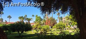 [P65] Hotel La Mamounia, șezlonguri în grădină » foto by irinad
 - 
<span class="allrVoted glyphicon glyphicon-heart hidden" id="av1509090"></span>
<a class="m-l-10 hidden" id="sv1509090" onclick="voting_Foto_DelVot(,1509090,4416)" role="button">șterge vot <span class="glyphicon glyphicon-remove"></span></a>
<a id="v91509090" class=" c-red"  onclick="voting_Foto_SetVot(1509090)" role="button"><span class="glyphicon glyphicon-heart-empty"></span> <b>LIKE</b> = Votează poza</a> <img class="hidden"  id="f1509090W9" src="/imagini/loader.gif" border="0" /><span class="AjErrMes hidden" id="e1509090ErM"></span>