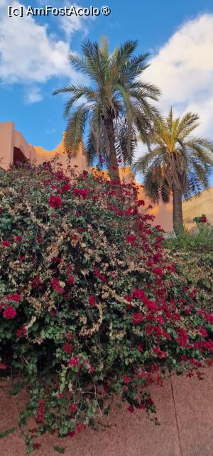 [P31] Av. Mohammed V » foto by adso
 - 
<span class="allrVoted glyphicon glyphicon-heart hidden" id="av1528088"></span>
<a class="m-l-10 hidden" id="sv1528088" onclick="voting_Foto_DelVot(,1528088,4416)" role="button">șterge vot <span class="glyphicon glyphicon-remove"></span></a>
<a id="v91528088" class=" c-red"  onclick="voting_Foto_SetVot(1528088)" role="button"><span class="glyphicon glyphicon-heart-empty"></span> <b>LIKE</b> = Votează poza</a> <img class="hidden"  id="f1528088W9" src="/imagini/loader.gif" border="0" /><span class="AjErrMes hidden" id="e1528088ErM"></span>