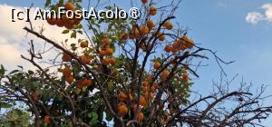 [P32] Av. Mohammed V » foto by adso
 - 
<span class="allrVoted glyphicon glyphicon-heart hidden" id="av1528089"></span>
<a class="m-l-10 hidden" id="sv1528089" onclick="voting_Foto_DelVot(,1528089,4416)" role="button">șterge vot <span class="glyphicon glyphicon-remove"></span></a>
<a id="v91528089" class=" c-red"  onclick="voting_Foto_SetVot(1528089)" role="button"><span class="glyphicon glyphicon-heart-empty"></span> <b>LIKE</b> = Votează poza</a> <img class="hidden"  id="f1528089W9" src="/imagini/loader.gif" border="0" /><span class="AjErrMes hidden" id="e1528089ErM"></span>