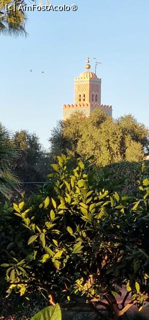 [P90] Hotel La Mamounia » foto by adso
 - 
<span class="allrVoted glyphicon glyphicon-heart hidden" id="av1528147"></span>
<a class="m-l-10 hidden" id="sv1528147" onclick="voting_Foto_DelVot(,1528147,4416)" role="button">șterge vot <span class="glyphicon glyphicon-remove"></span></a>
<a id="v91528147" class=" c-red"  onclick="voting_Foto_SetVot(1528147)" role="button"><span class="glyphicon glyphicon-heart-empty"></span> <b>LIKE</b> = Votează poza</a> <img class="hidden"  id="f1528147W9" src="/imagini/loader.gif" border="0" /><span class="AjErrMes hidden" id="e1528147ErM"></span>