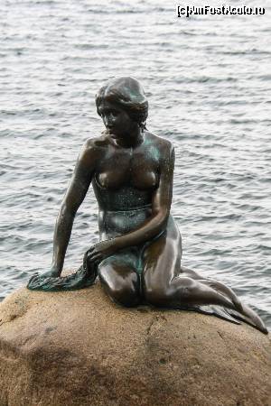 [P29] Mica Sirena-ganditoare si parca prea trista » foto by DOINITA
 - 
<span class="allrVoted glyphicon glyphicon-heart hidden" id="av631560"></span>
<a class="m-l-10 hidden" id="sv631560" onclick="voting_Foto_DelVot(,631560,4424)" role="button">șterge vot <span class="glyphicon glyphicon-remove"></span></a>
<a id="v9631560" class=" c-red"  onclick="voting_Foto_SetVot(631560)" role="button"><span class="glyphicon glyphicon-heart-empty"></span> <b>LIKE</b> = Votează poza</a> <img class="hidden"  id="f631560W9" src="/imagini/loader.gif" border="0" /><span class="AjErrMes hidden" id="e631560ErM"></span>