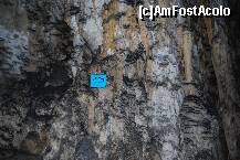 [P35] Pestera Polovragi - Papagalul » foto by deliutza27
 - 
<span class="allrVoted glyphicon glyphicon-heart hidden" id="av157552"></span>
<a class="m-l-10 hidden" id="sv157552" onclick="voting_Foto_DelVot(,157552,4440)" role="button">șterge vot <span class="glyphicon glyphicon-remove"></span></a>
<a id="v9157552" class=" c-red"  onclick="voting_Foto_SetVot(157552)" role="button"><span class="glyphicon glyphicon-heart-empty"></span> <b>LIKE</b> = Votează poza</a> <img class="hidden"  id="f157552W9" src="/imagini/loader.gif" border="0" /><span class="AjErrMes hidden" id="e157552ErM"></span>