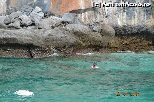 [P23] baie, snorkelling, ce doriti in mare sa fie » foto by andreea72
 - 
<span class="allrVoted glyphicon glyphicon-heart hidden" id="av569228"></span>
<a class="m-l-10 hidden" id="sv569228" onclick="voting_Foto_DelVot(,569228,4448)" role="button">șterge vot <span class="glyphicon glyphicon-remove"></span></a>
<a id="v9569228" class=" c-red"  onclick="voting_Foto_SetVot(569228)" role="button"><span class="glyphicon glyphicon-heart-empty"></span> <b>LIKE</b> = Votează poza</a> <img class="hidden"  id="f569228W9" src="/imagini/loader.gif" border="0" /><span class="AjErrMes hidden" id="e569228ErM"></span>