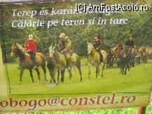[P02] Aici gasesti afise sugestive despre ceea ce poti face in afara de-a dormi si a manca » foto by dorgo
 - 
<span class="allrVoted glyphicon glyphicon-heart hidden" id="av107227"></span>
<a class="m-l-10 hidden" id="sv107227" onclick="voting_Foto_DelVot(,107227,4456)" role="button">șterge vot <span class="glyphicon glyphicon-remove"></span></a>
<a id="v9107227" class=" c-red"  onclick="voting_Foto_SetVot(107227)" role="button"><span class="glyphicon glyphicon-heart-empty"></span> <b>LIKE</b> = Votează poza</a> <img class="hidden"  id="f107227W9" src="/imagini/loader.gif" border="0" /><span class="AjErrMes hidden" id="e107227ErM"></span>