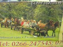 [P03] Excursii cu trasura spre cateva destinatii interesante » foto by dorgo
 - 
<span class="allrVoted glyphicon glyphicon-heart hidden" id="av107229"></span>
<a class="m-l-10 hidden" id="sv107229" onclick="voting_Foto_DelVot(,107229,4456)" role="button">șterge vot <span class="glyphicon glyphicon-remove"></span></a>
<a id="v9107229" class=" c-red"  onclick="voting_Foto_SetVot(107229)" role="button"><span class="glyphicon glyphicon-heart-empty"></span> <b>LIKE</b> = Votează poza</a> <img class="hidden"  id="f107229W9" src="/imagini/loader.gif" border="0" /><span class="AjErrMes hidden" id="e107229ErM"></span>